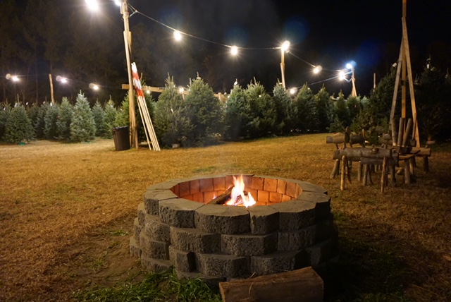 fire pit 