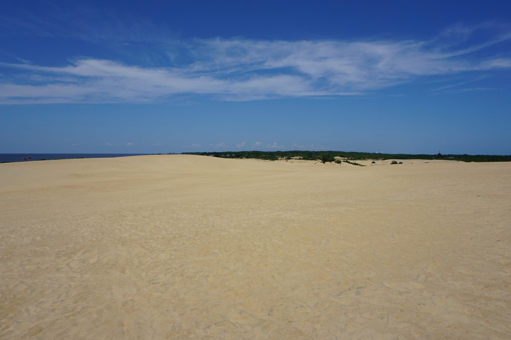 Dunes at Jockey's Ridge State Park