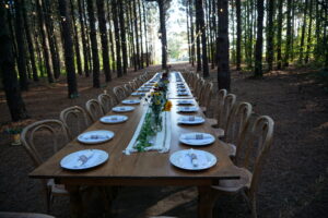 Pine grove tables at FigMINT Farms.